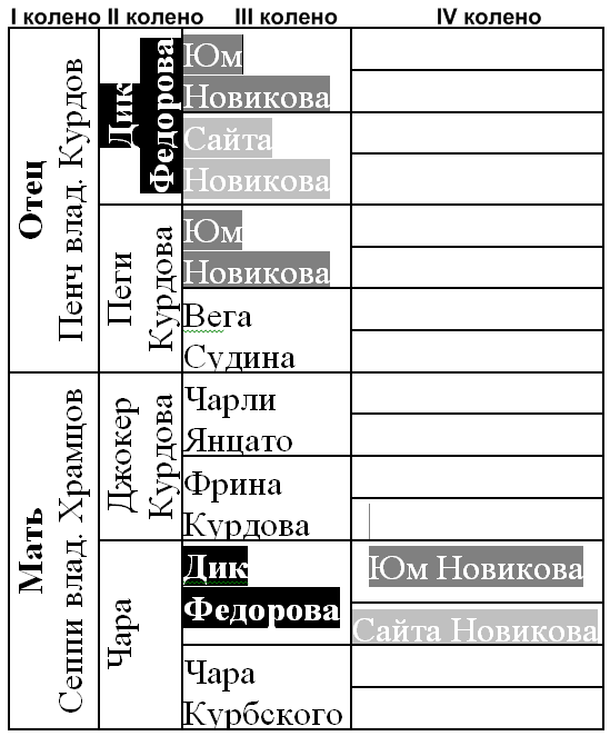 platonov 63